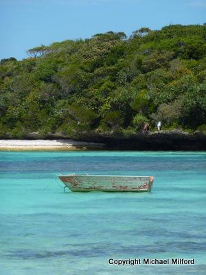 Exploring Isles of Pines