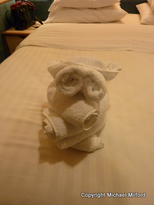 Pig towel animal